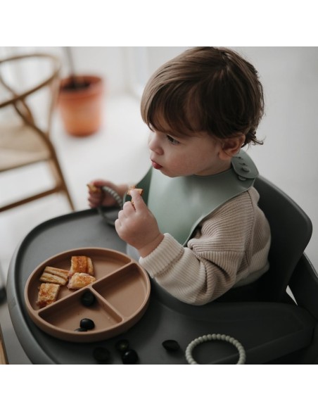 Plato ventosa-compartimentos solid natural