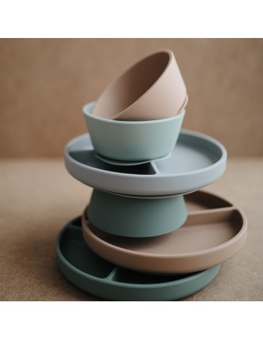 Bol con ventosa solid natural