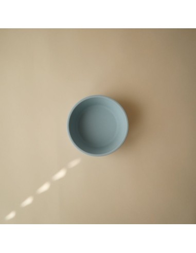 Bol con ventosa solid powder blue