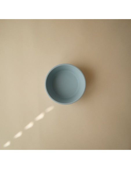 Bol con ventosa solid powder blue