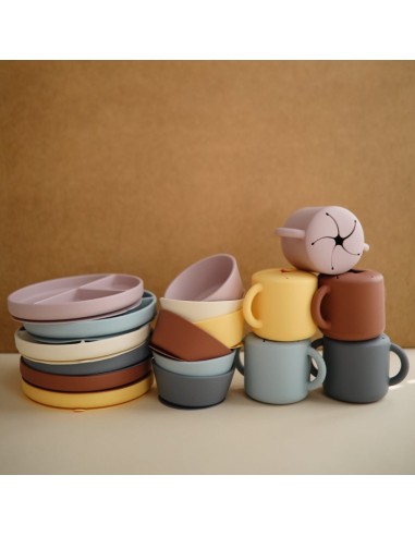 Bol con ventosa solid powder blue