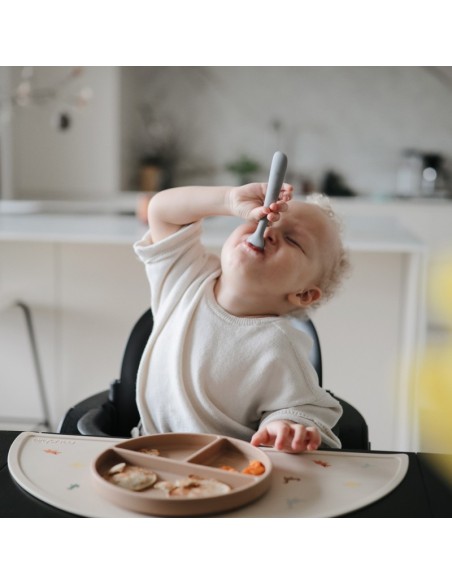 Pack 2 cucharas solid dried thyme+natural