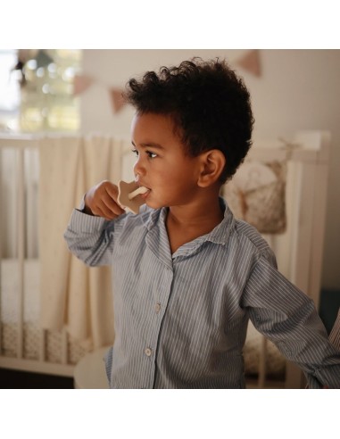 Cepillo de dientes didáctico star shifting sand