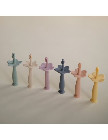 Cepillo de dientes didáctico flower blush