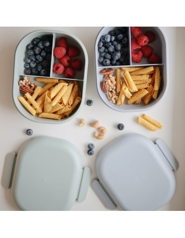 Caja almuerzo solid sage