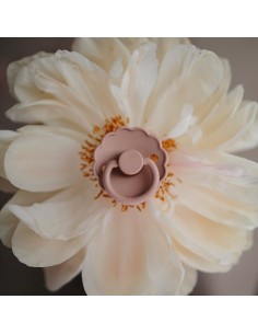 Pack 2 chupetes block latex daisy powder blue/ sandston 0+ 2