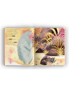 Cuento: El oso tímido 2