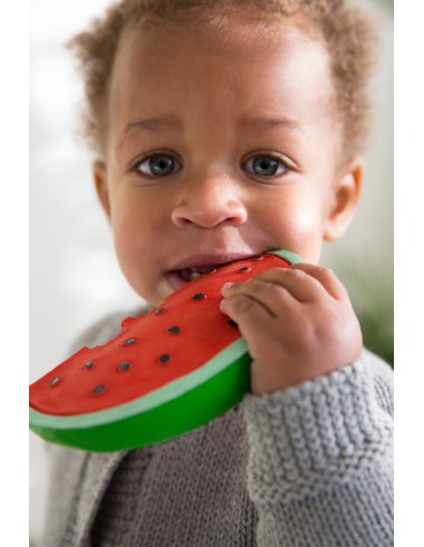 Mordedor Wally the Watermelon