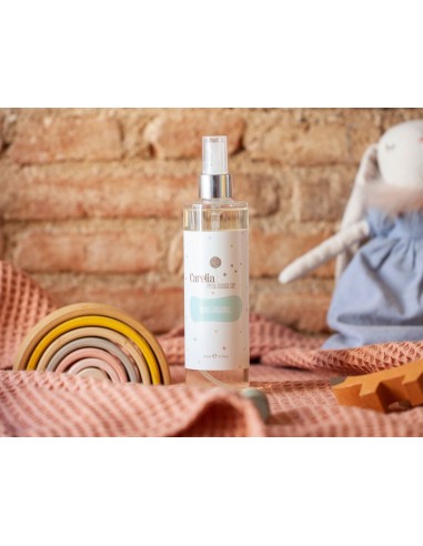 Ambientador hogar 300ml