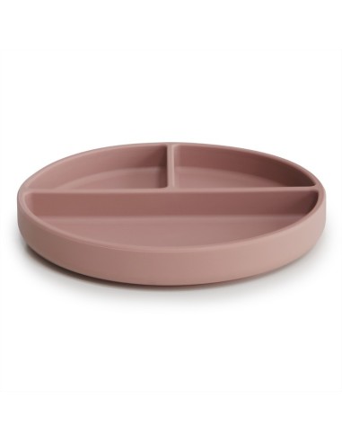 Plato ventosa-compartimentos solid blush