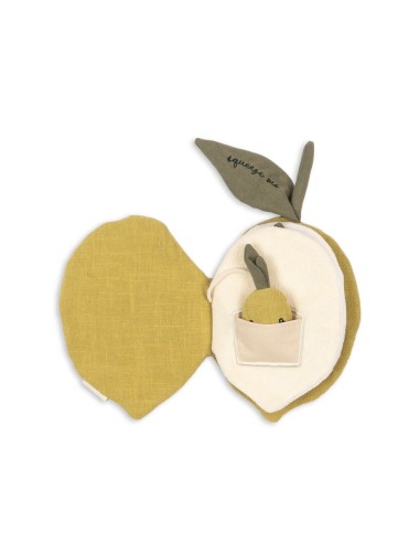 Libro tela lemon