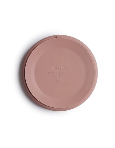Plato ventosa-compartimentos solid blush