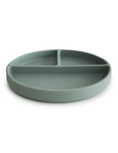 Plato ventosa-compartimentos solid cambridge blue