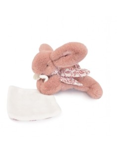 Conejito blush con cajita 2