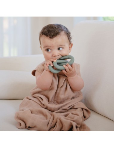 Mordedor silicona links dried thyme