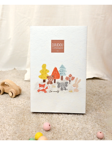 Osito de peluche con pañuelo sweety