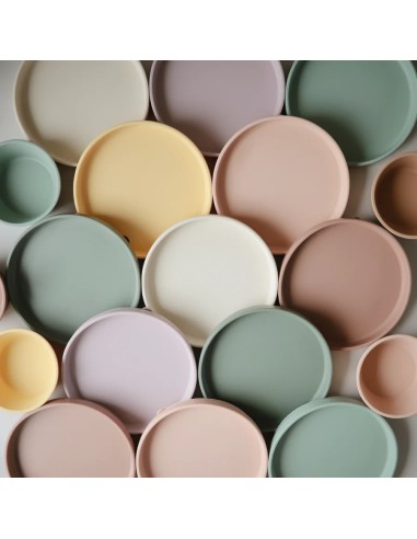 Plato ventosa clásico solid blush