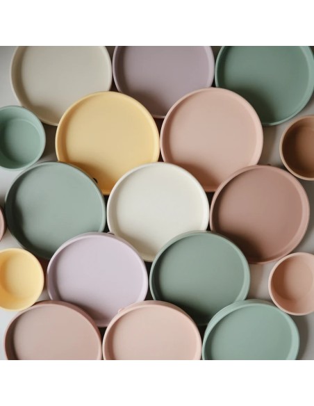 Plato ventosa clásico solid blush