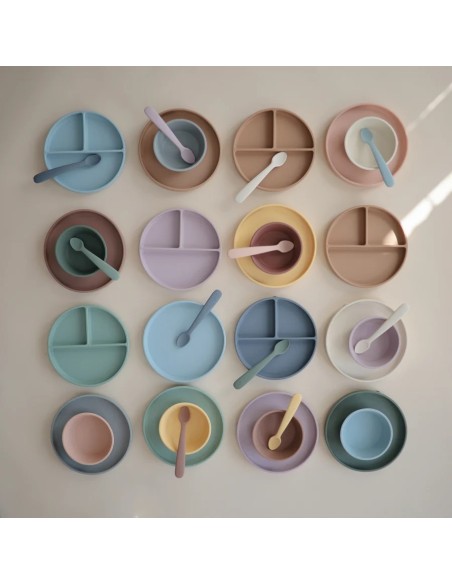 Plato ventosa clásico solid blush