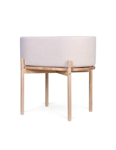 Minicuna teddy crudo