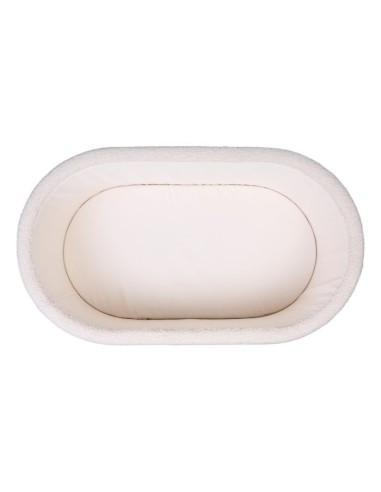 Minicuna teddy crudo