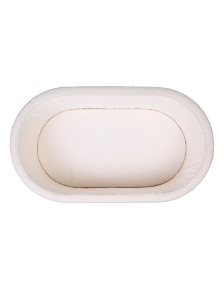 Minicuna teddy crudo