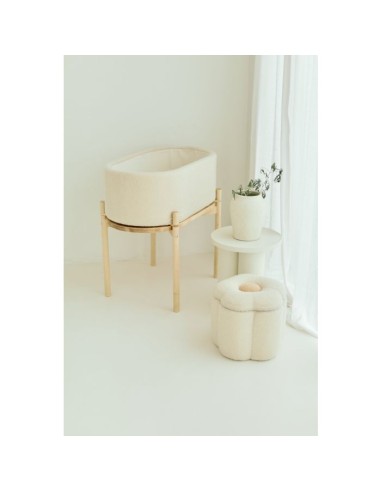 Minicuna teddy crudo