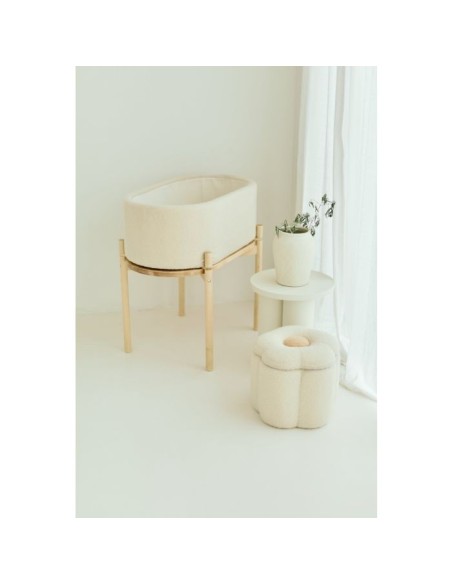 Minicuna teddy crudo