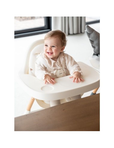 Evolu high chair
