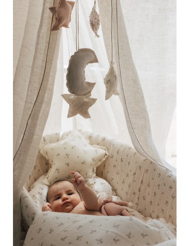 Cojín star roseberry