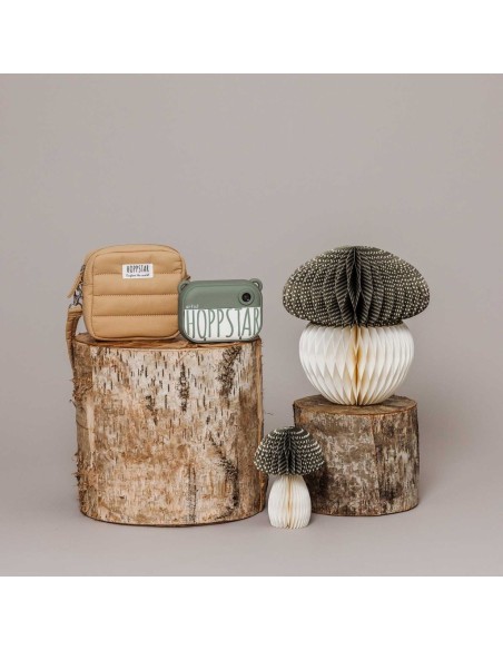 Funda para cámara Artist cream