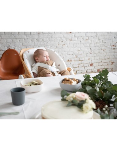 Asiento para recién nacidos Evolu madera/blanco