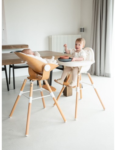 Asiento para recién nacidos Evolu madera/blanco