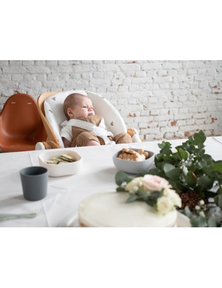 Cojín asiento recién nacido Evolu hearts