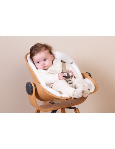 Cojín asiento recién nacido Evolu hearts