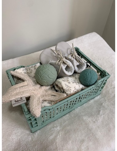 Cesta regalo nature green