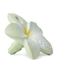 Mordedor Bali the Flower 2