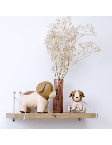 Animales para pasear: Adrián el Perro