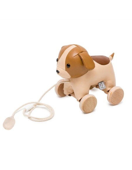 Animales para pasear: Adrián el Perro