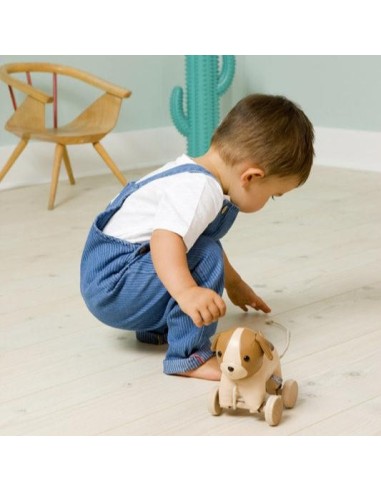 Animales para pasear: Adrián el Perro