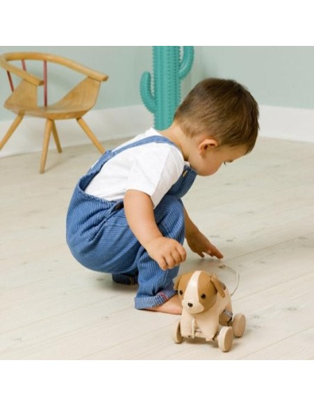 Animales para pasear: Adrián el Perro