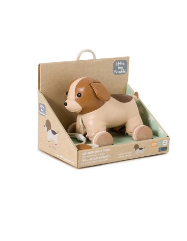 Animales para pasear: Adrián el Perro