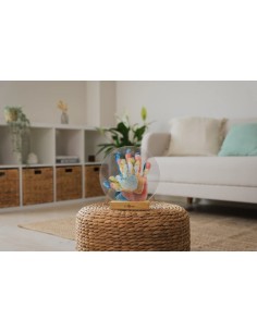 Colores familiares 2