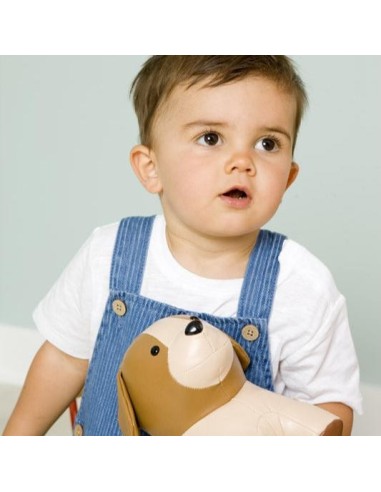 Animales musicales: Adrián el Perro