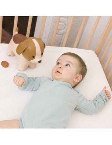 Animales musicales: Adrián el Perro