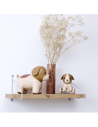 Animales musicales: Adrián el Perro