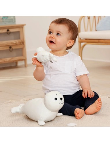 Animales musicales: Elliot la Foca