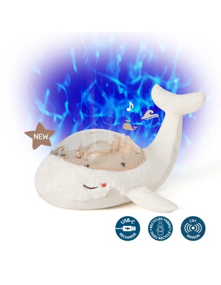 Tranquil Whale white