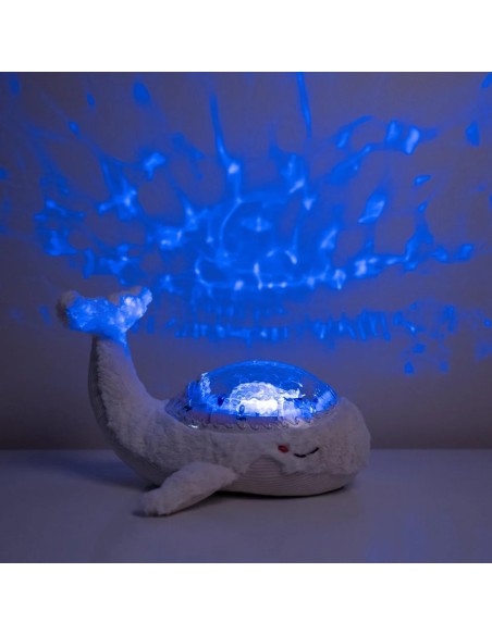 Tranquil Whale white