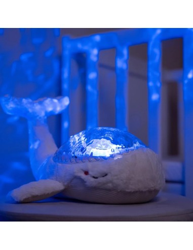 Tranquil Whale white